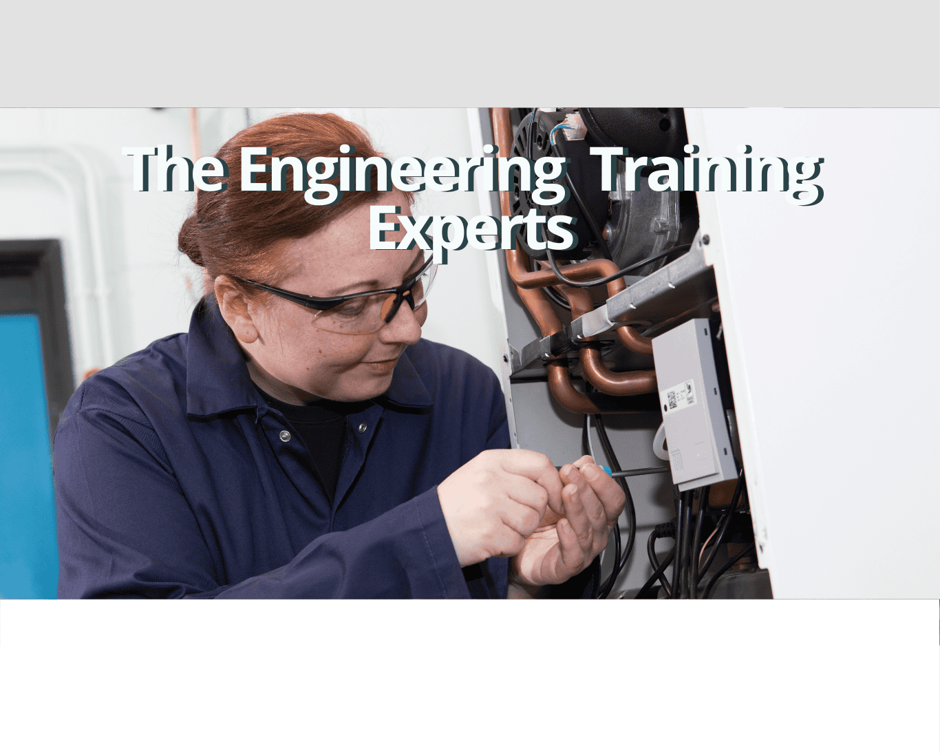 Commercial Neta Training Group