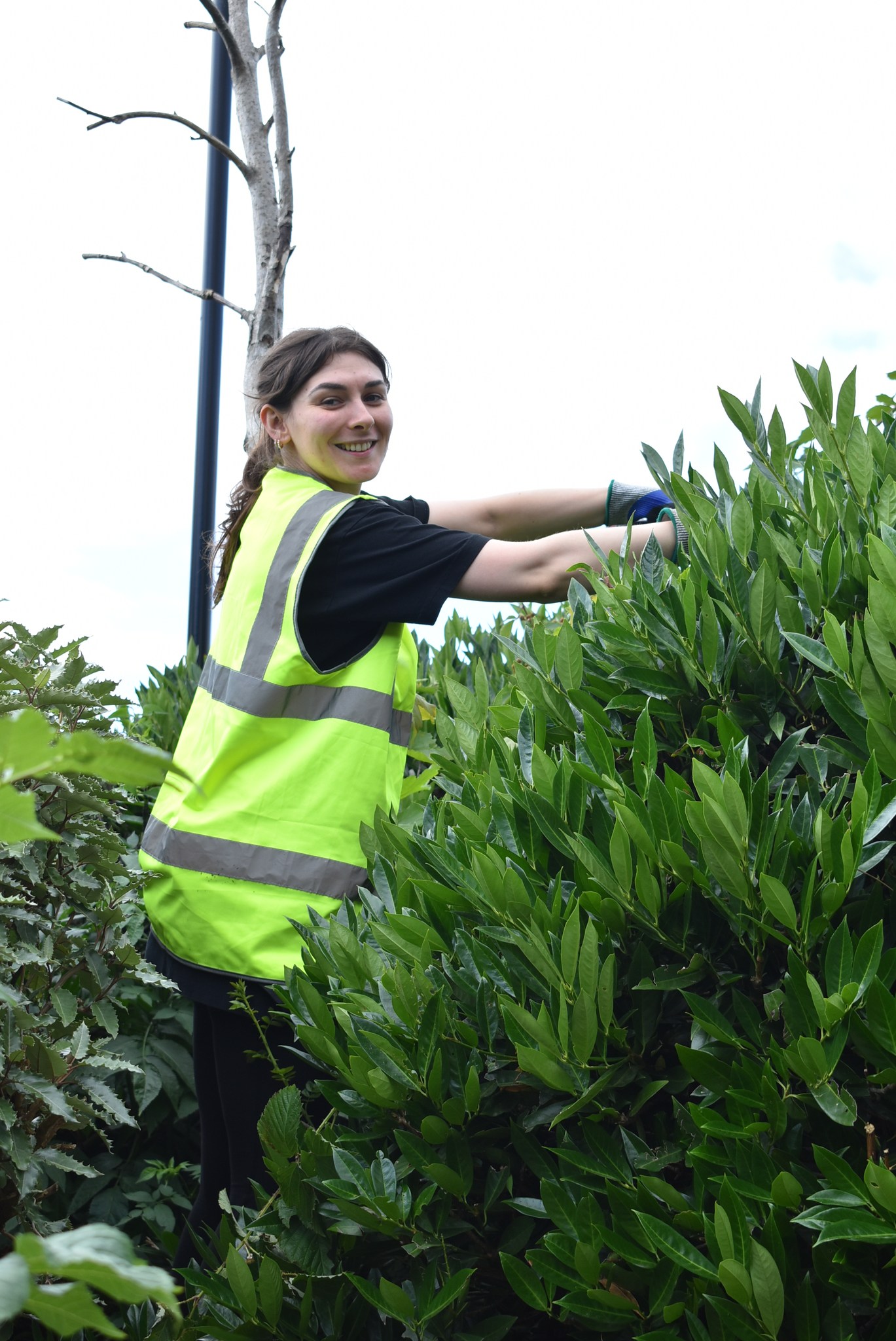 517954736 1169637411845226 2098462558838379795 N